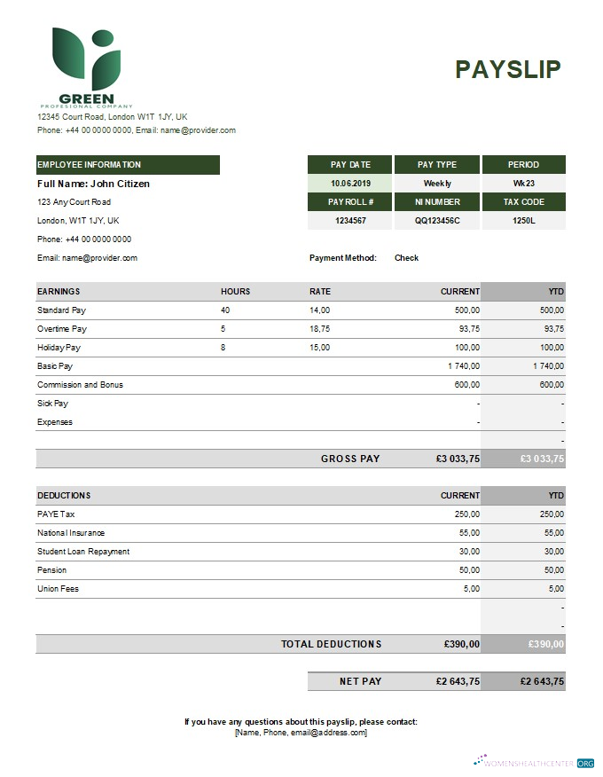 Download green industry earning statement template in Excel and PDF formats Photoshop template